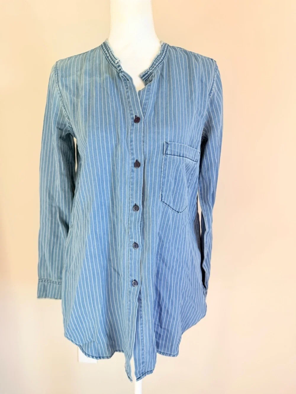 Sandrine Rose Free people striped denim jacket size small oversized soft NWT